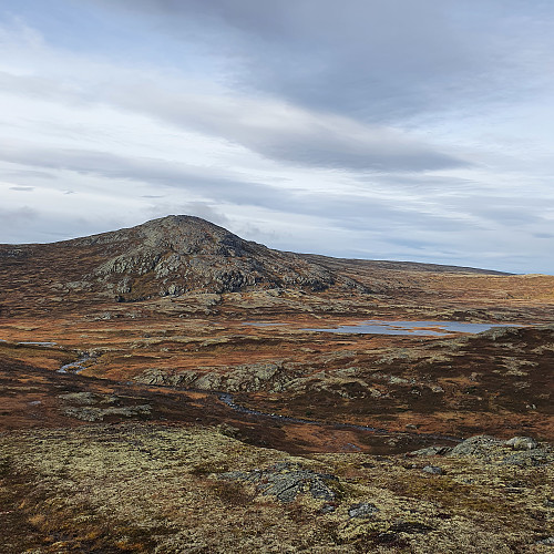 Nyhaugen