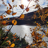 Gabrielsen68_20221013_6347b6505d939.jpg
