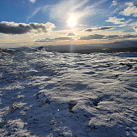 Gabrielsen68_20221017_634cf06405b15.jpg