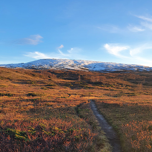Tilbakeblikk mot Nørdre Sandfjellet.