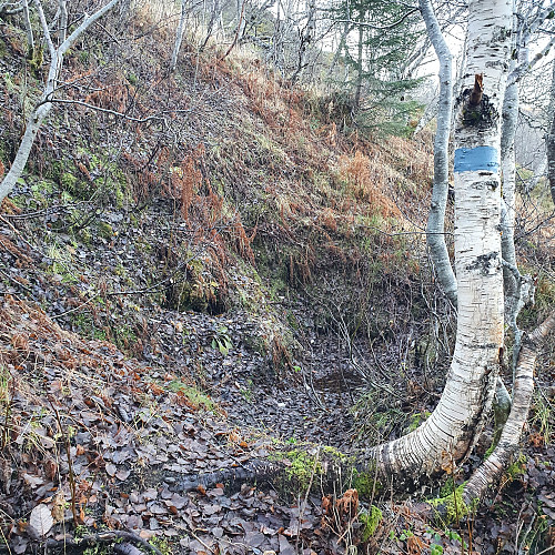 Vrakrestene etter flyet er fjernet, men hullet er fortsatt synlig.