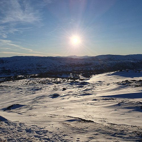 Strålende januarvær, fine løyper og god temperatur.