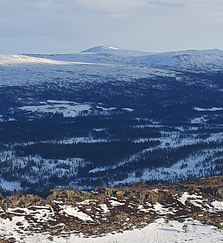 Nyhaugen i bakgrunn