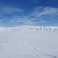 Gabrielsen68_20230327_64218b0a79d29.jpg