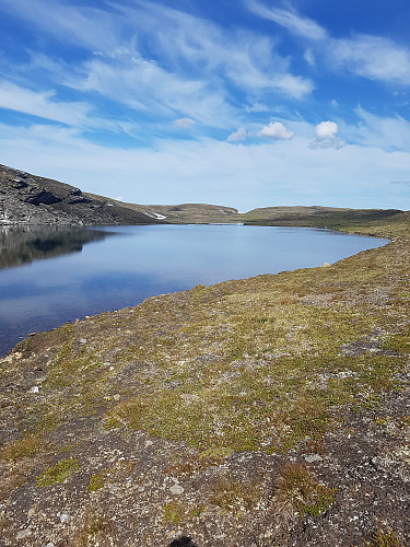 Nordytjørna