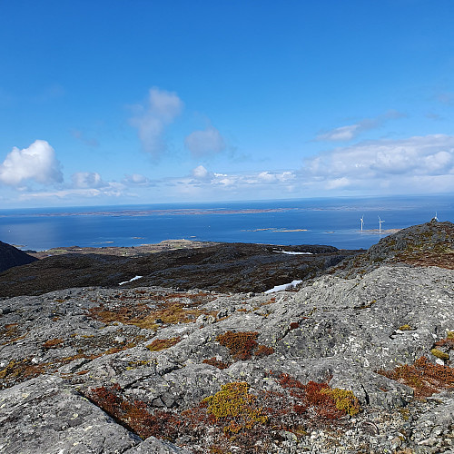 Oksvoll