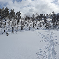 Gabrielsen68_20230504_6453567ac6640.jpg