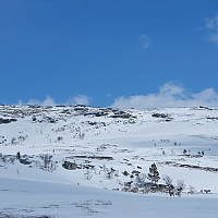 Gabrielsen68_20230504_6453581d819be.jpg