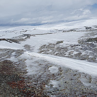 Gabrielsen68_20230504_645358205b13b.jpg