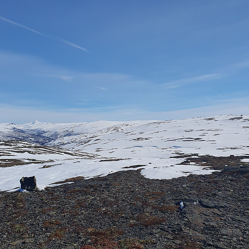 Dølbukammen og Sauhogna til høyre, Forellhogna til venstre. Sett fra Kalddalsfjellet.