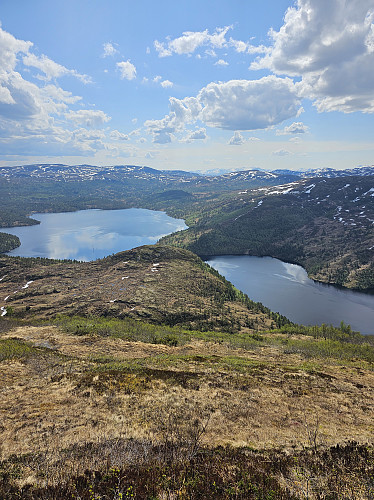Fin utsikt over Vasslivatnet og Søvatnet etter å ha trøkla meg gjennom bjørkskogen fra foten av Vassliknebba. Tung oppstigning, men helt topp når en først kom opp på ryggen.
