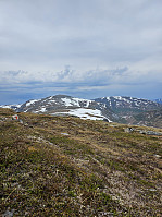 Gabrielsen68_20230612_6486b2d8efc1f.jpg