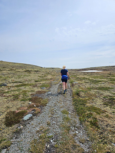 Fruen i fint driv opp mot Veslvonskaret.