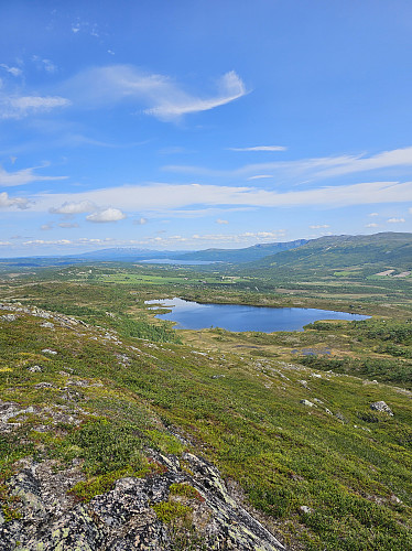 Buslættjønna