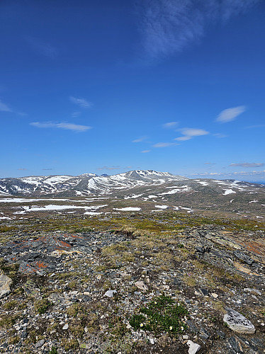 Svarthætta
