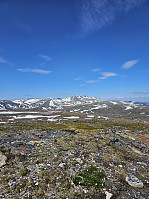 Gabrielsen68_20230626_649935fe6c990.jpg