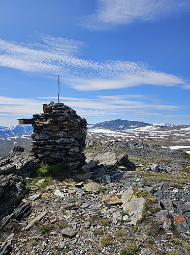 Blåhø