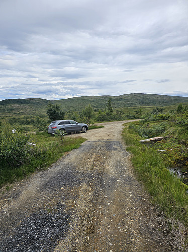 Etter mye myrvandring var runden omsider ferdig. Granåsfjellet i bakgrunn.
