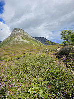 Gabrielsen68_20230821_64e302771d097.jpg