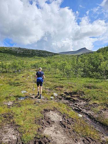 Fin sti mot Sålekinnstoppen.