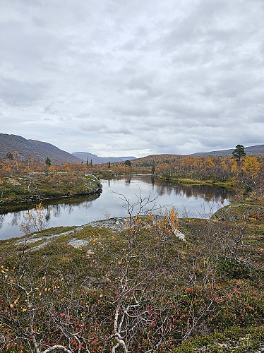 Orvasselva