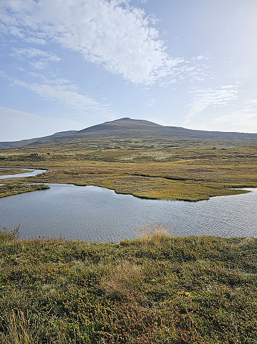 Fine forhold for en liten fjelltur.