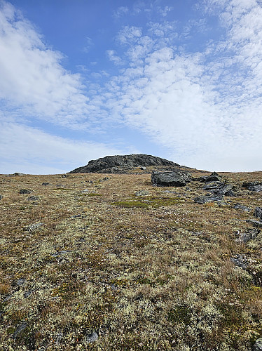 Toppen nærmer seg. Lettgått tørt underlag til en avveksling.