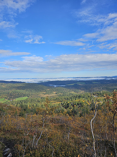 Prestbuvatnet