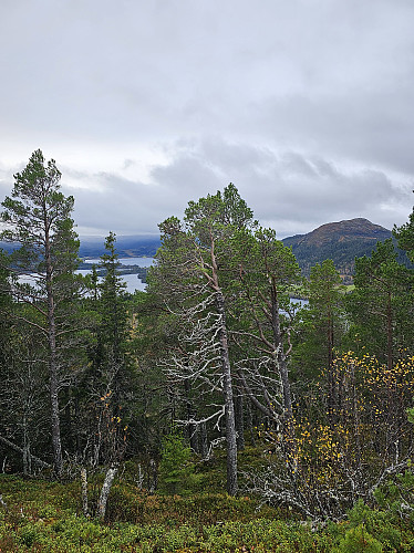 Hostovatnet, Ringavatnet og Gjømshøgda.