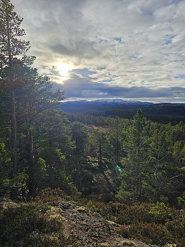 Fin høstdag på Klipåsen