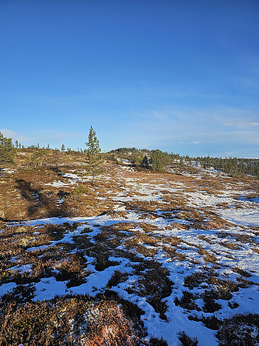 Toppen i sikte