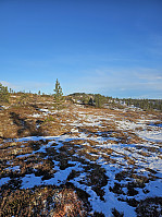 Gabrielsen68_20231114_65531b5f23e22.jpg