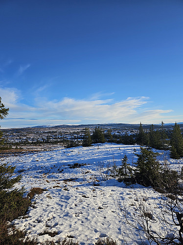 Samsjøvola og Burufjellet