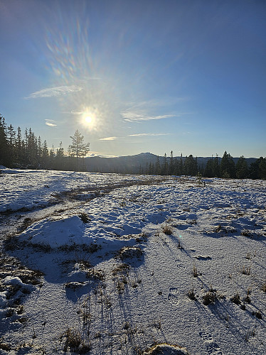 Ølshavden