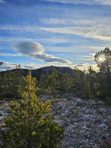 Gråkallen fra Klefstadåsen