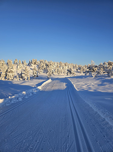 Strålende forhold.