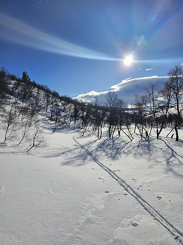 Skrikdalen