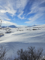 Gabrielsen68_20240226_65dc3d57c028c.jpg