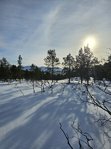 Skotterødkjølen