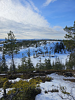 Gabrielsen68_20240402_660baa6413d21.jpg