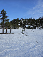 Gabrielsen68_20240402_660baa69834f6.jpg