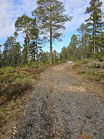 Gabrielsen68_20240402_660baa6b60bfb.jpg