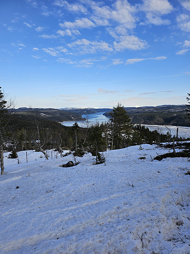 Selbusjøen