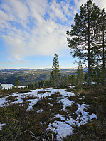 Gabrielsen68_20240402_660bab96585e6.jpg