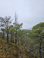 Gabrielsen68_20240402_660bb80d17501.jpg