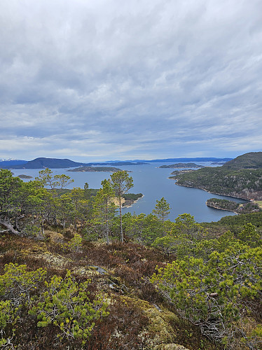 Ytre del av Hemnefjorden