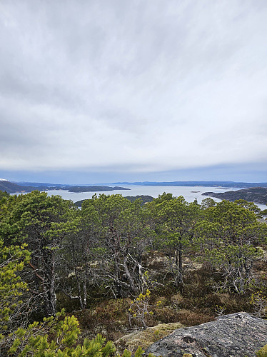 Høyeste punkt. Stien passerer 30 m nedenfor.