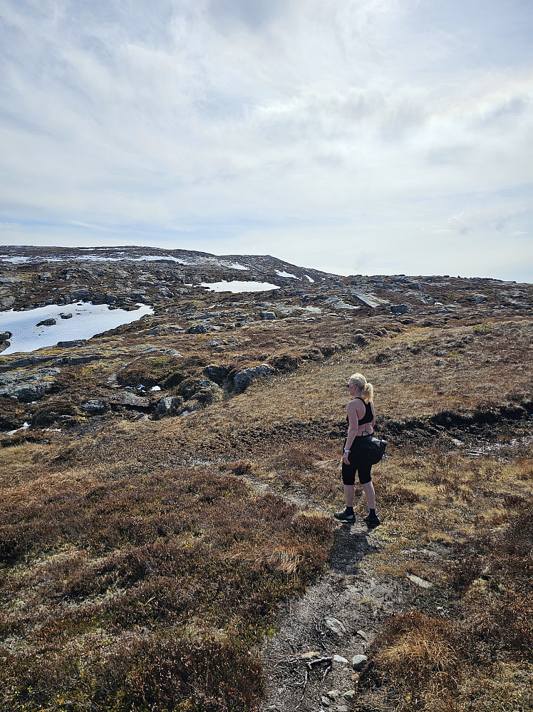 Fint å gå oppe på fjellet. Noen få snøflekker igjen.