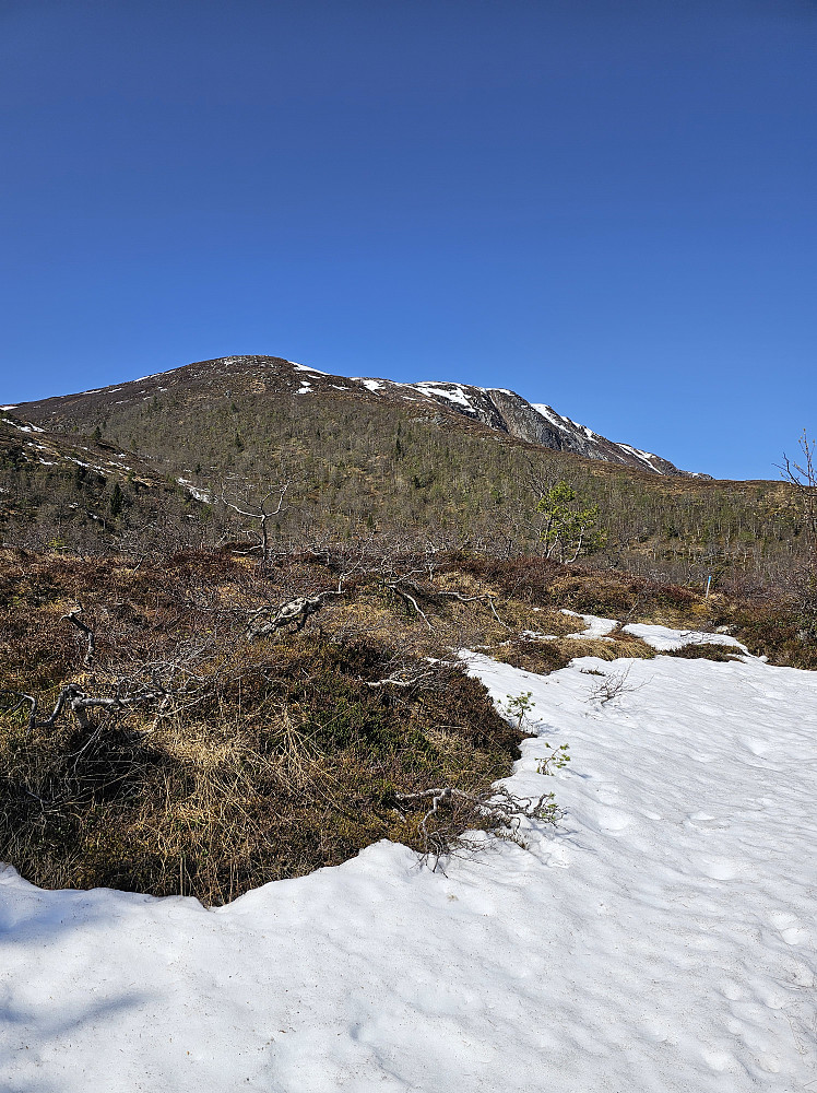 Skreåfjellet