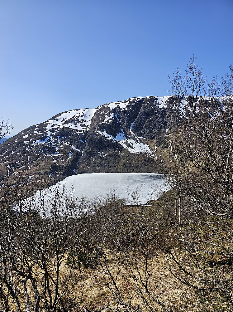Fra Måsvassheia mot Skreåfjellet